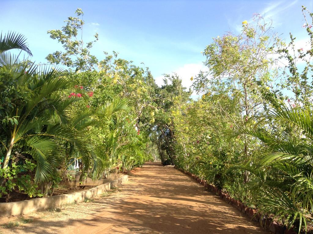 Lagoon Inn Hambantota Extérieur photo
