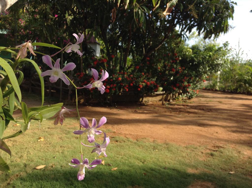 Lagoon Inn Hambantota Extérieur photo